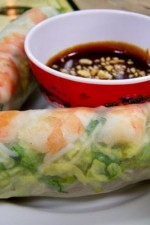 Watch Anatomy of a Springroll online free.