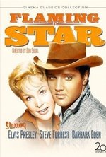Смотреть Flaming Star онлайн бесплатно.