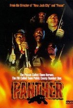 Guarda online Panther gratuitamente.