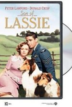 Watch Son of Lassie kostenlos online.