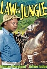 Guarda online Law of the Jungle gratuitamente.