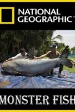Смотреть National Geographic Monster Fish онлайн бесплатно.