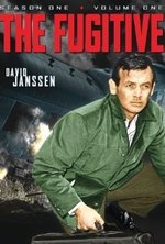 Смотреть The Fugitive онлайн бесплатно.