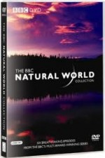 Watch The Natural World online free.