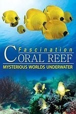Watch Fascination Coral Reef: Mysterious Worlds Underwater online free.
