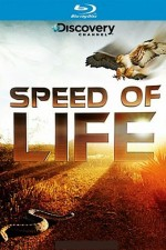 Watch Speed of Life online free.