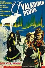 Watch Valkoinen peura online free.