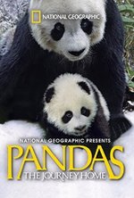 Watch Pandas: The Journey Home kostenlos online.