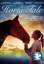Watch A Horse Tail online free. A Horse Tail poster